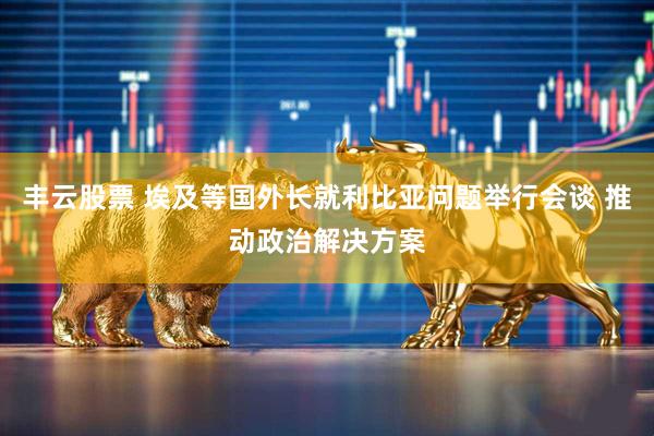 丰云股票 埃及等国外长就利比亚问题举行会谈 推动政治解决方案