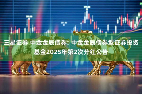 三星证券 中金金辰债券: 中金金辰债券型证券投资基金2025年第2次分红公告