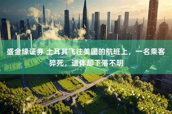 盛金缘证券 土耳其飞往美国的航班上，一名乘客猝死，遗体却下落不明